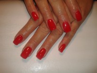 /album/fotogaleria/a2012-05-23-19-03-12-jpg/